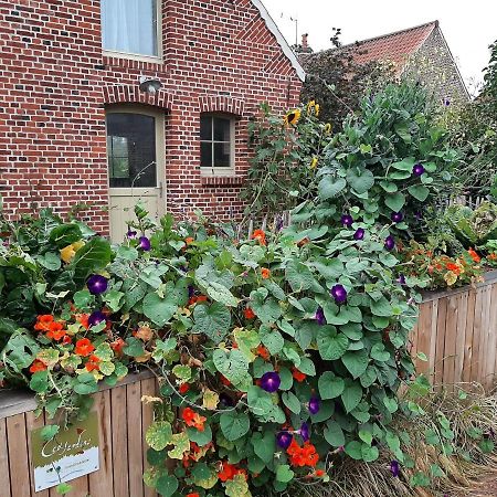 Les Jardins D'Olus Villa Wandignies-Hamage Exterior foto